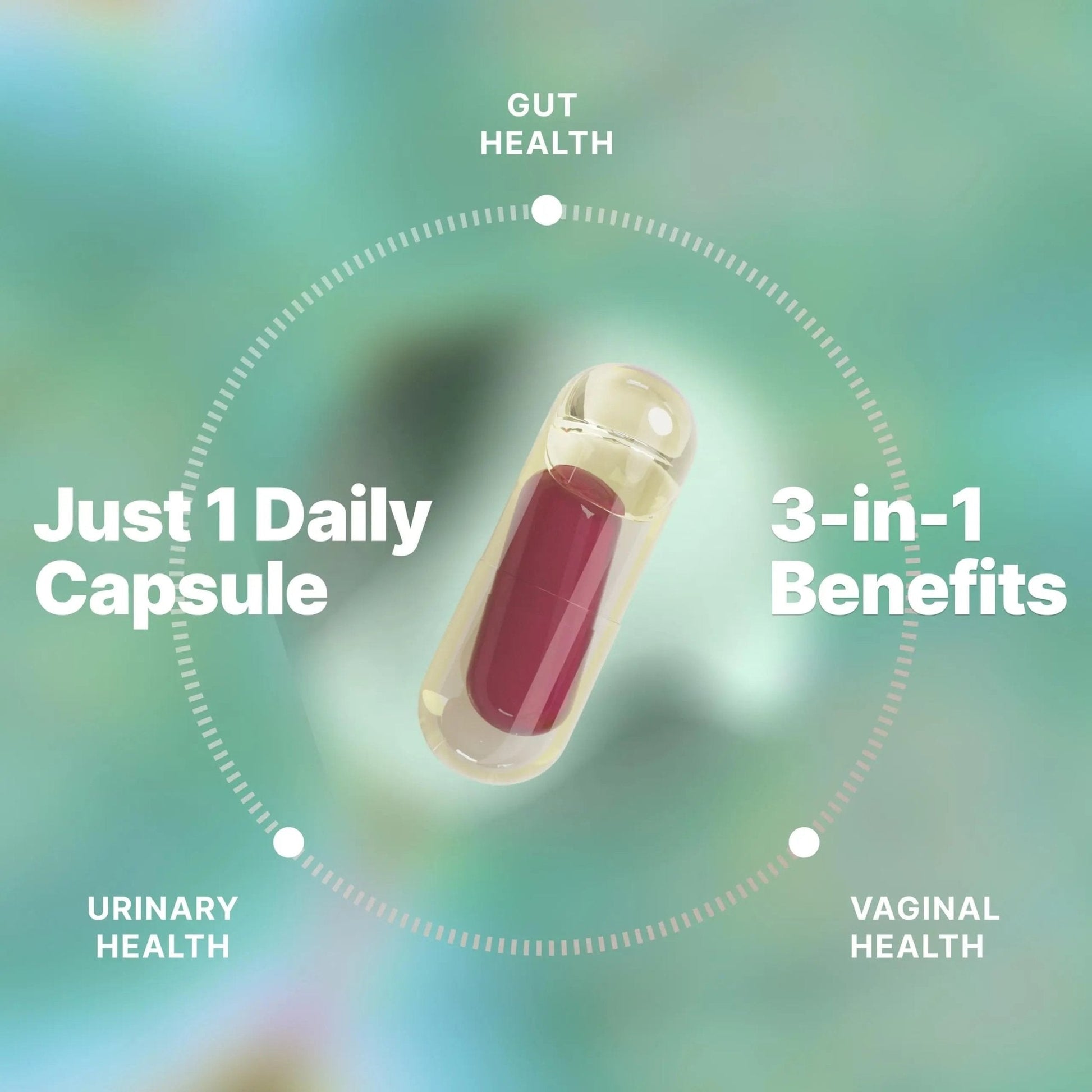 Evvy Women's 3-in-1 Complete Probiotic I Daily Probiotic Supplement to Reduce Bloating I Supports Gut, Urinary & Vaginal Health | Includes Vaginal Probiotics for Feminine Care | 30 Day Supply - Maple Wellness Supplements