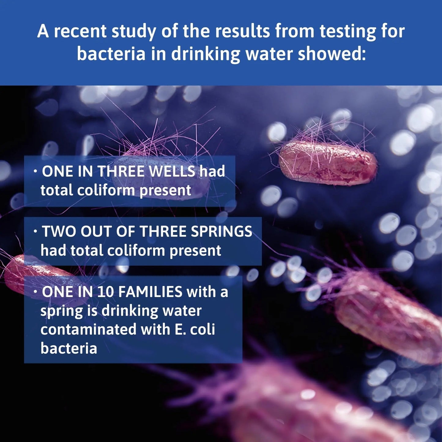 Exploro® Bacteria Water Test Kit, Pond Water Test Kit, Pool Water Testing Kit, Water Testing Kits for Drinking Water for Coliform (E. coli), EPA Approved Pool Test Kit (1 Pack) - Maple Wellness Supplements