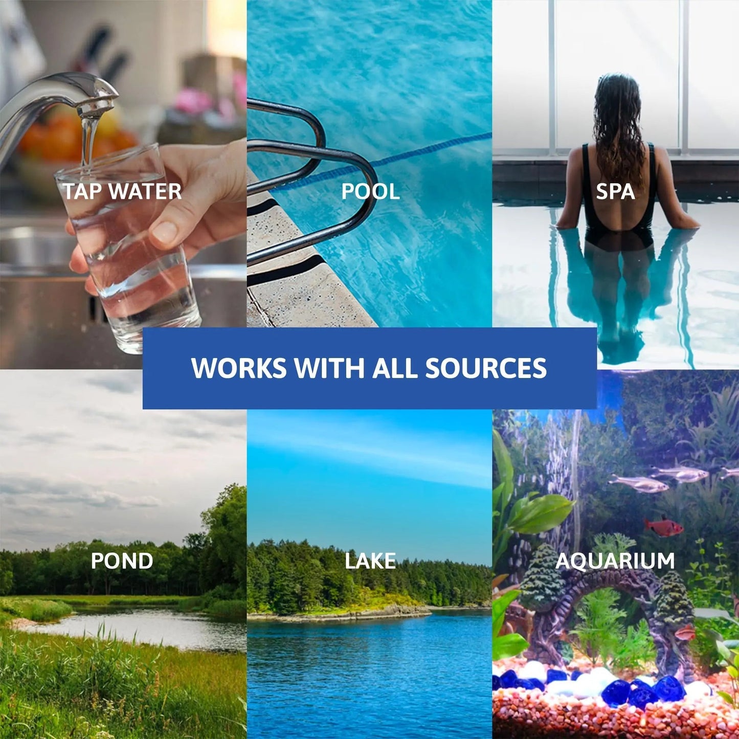 Exploro® Bacteria Water Test Kit, Pond Water Test Kit, Pool Water Testing Kit, Water Testing Kits for Drinking Water for Coliform (E. coli), EPA Approved Pool Test Kit (1 Pack) - Maple Wellness Supplements