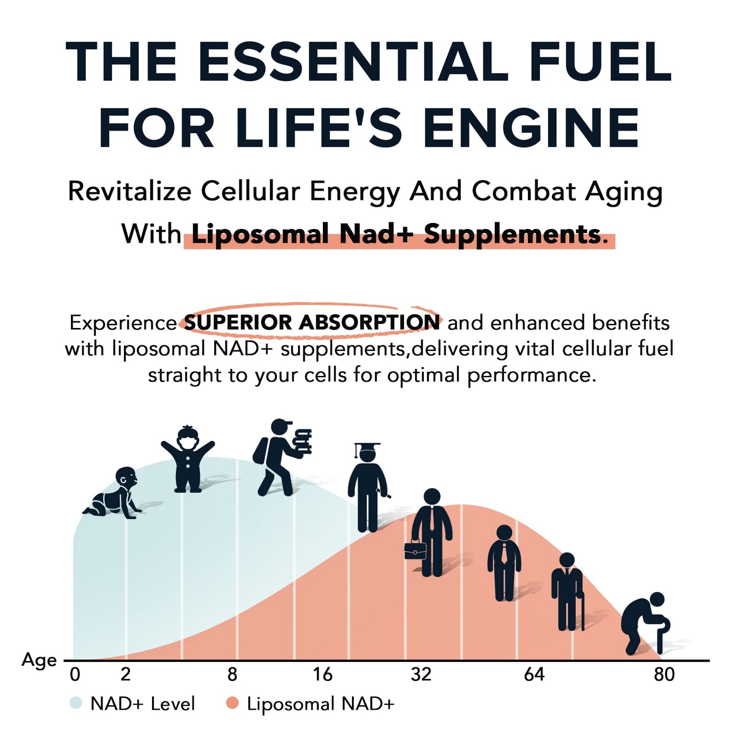 Fabamax 1600 mg Liposomal NAD Supplement, 98% Pure NAD+ Supplement, Superior Absorption, Alternative to Nicotinamide Riboside or NADH to Boost NAD+ for Aging Defense, Energy, Longevity, 120 Softgels - Maple Wellness Supplements