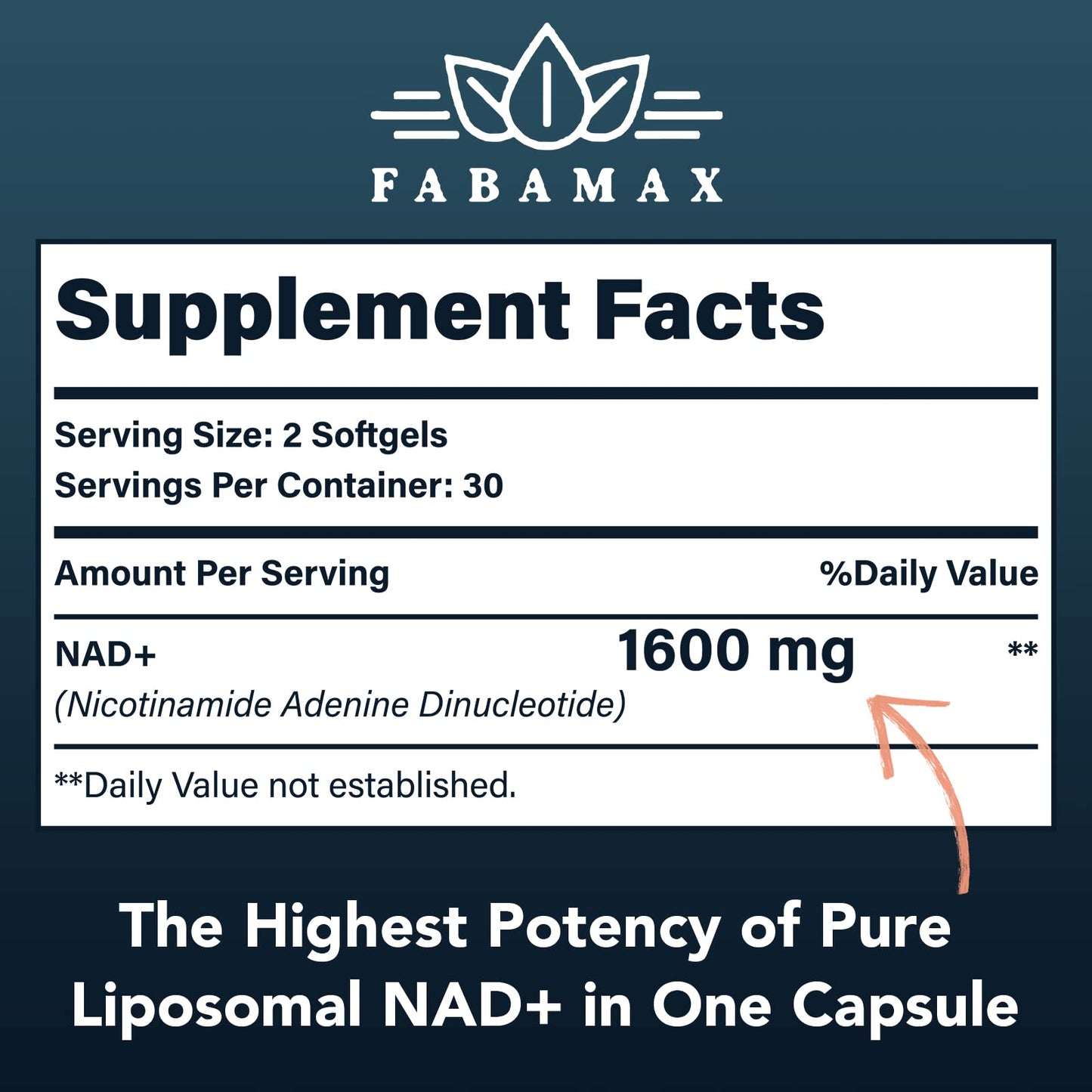 Fabamax 1600 mg Liposomal NAD Supplement, 98% Pure NAD+ Supplement, Superior Absorption, Alternative to Nicotinamide Riboside or NADH to Boost NAD+ for Aging Defense, Energy, Longevity, 120 Softgels - Maple Wellness Supplements