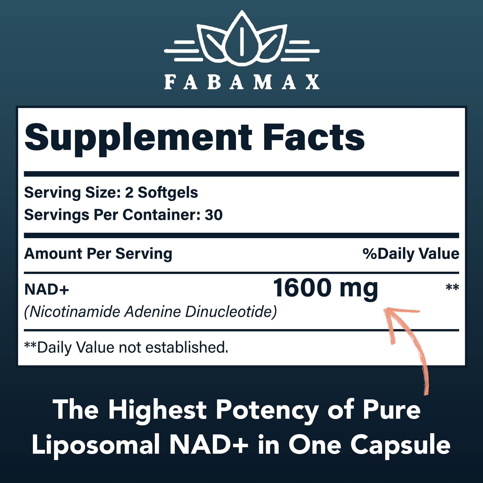 Fabamax 1600 mg Liposomal NAD Supplement, 98% Pure NAD+ Supplement, Superior Absorption, Alternative to Nicotinamide Riboside or NADH to Boost NAD+ for Aging Defense, Energy, Longevity, 120 Softgels - Maple Wellness Supplements