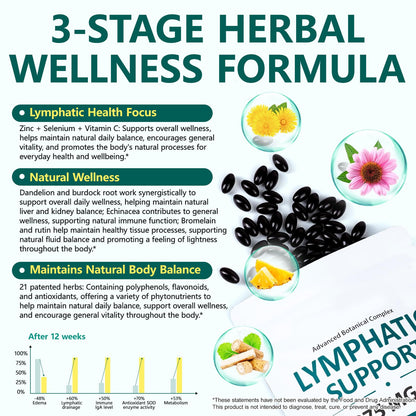 FANSHI Lymphatic Drainage Supplements 240 Softgels | Herbal Blend with Echinacea, Dandelion & Burdock Root | Promotes Healthy Circulation & Fluid Balance | Supports Overall Daily Wellness - Maple Wellness Supplements