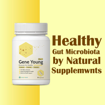 Fecula Biotech Superfood Resistant Starch,Prebiotics Supplement,Bifidobacterium longum - Maple Wellness Supplements
