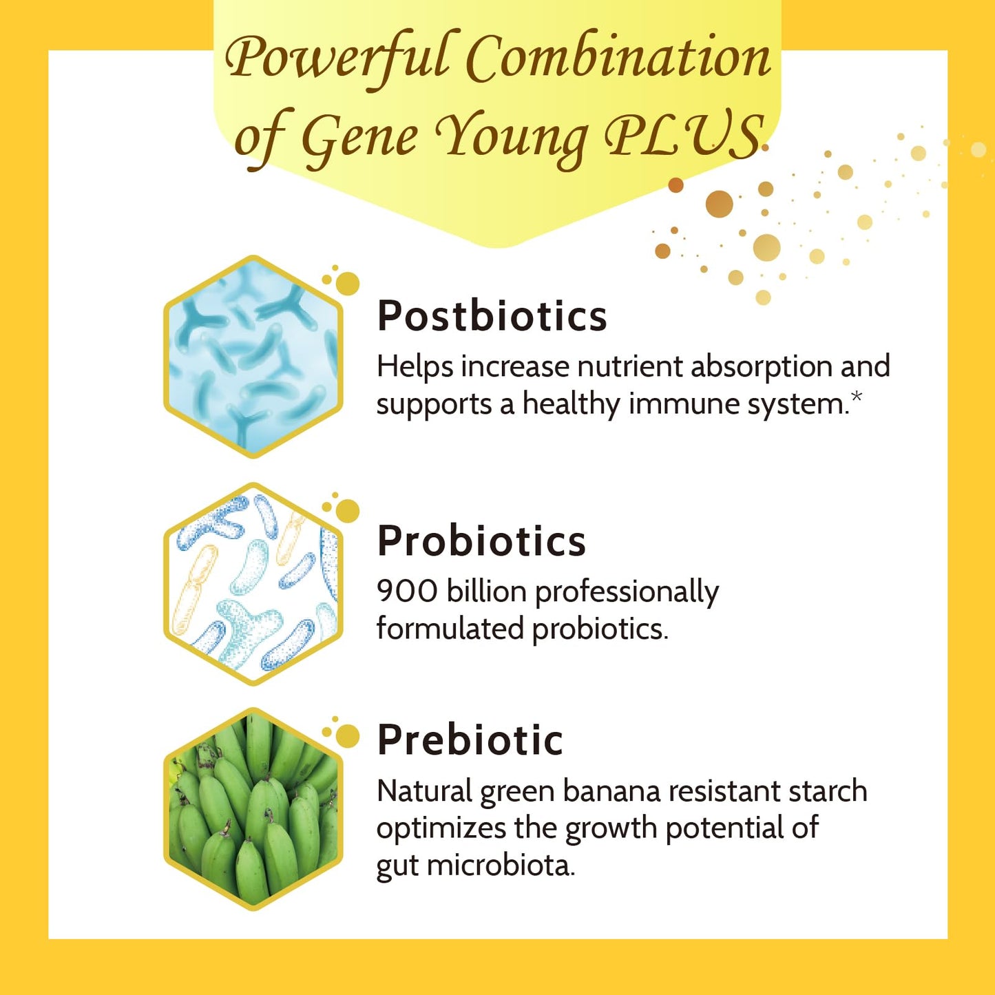 Fecula Biotech Superfood Resistant Starch,Prebiotics Supplement,Bifidobacterium longum - Maple Wellness Supplements
