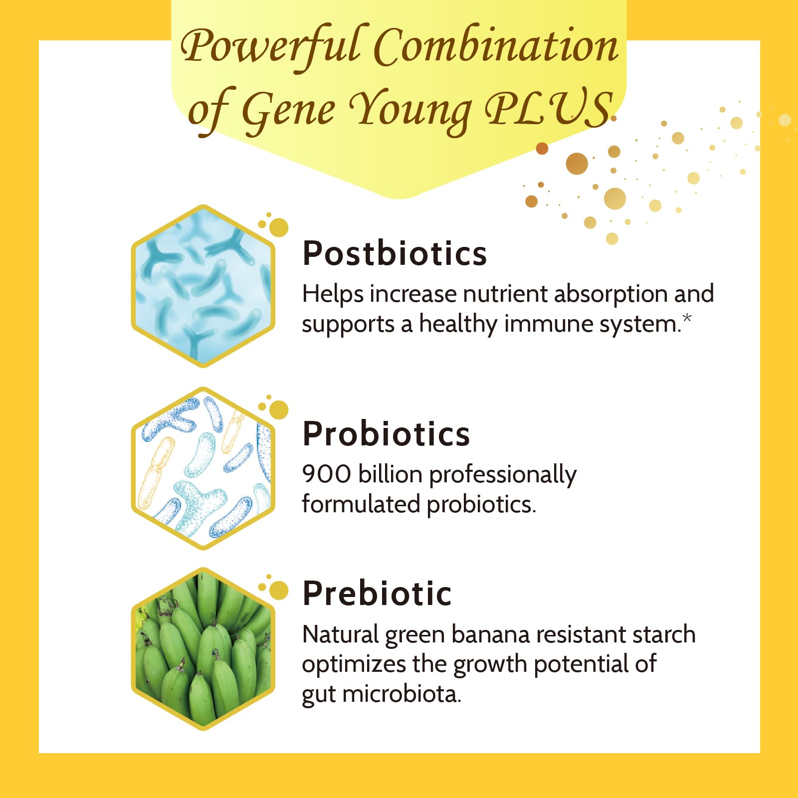 Fecula Biotech Superfood Resistant Starch,Prebiotics Supplement,Bifidobacterium longum - Maple Wellness Supplements