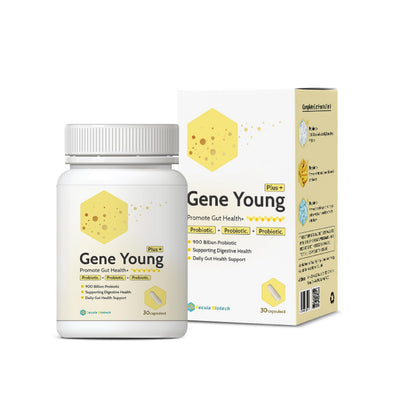 Fecula Biotech Superfood Resistant Starch,Prebiotics Supplement,Bifidobacterium longum - Maple Wellness Supplements