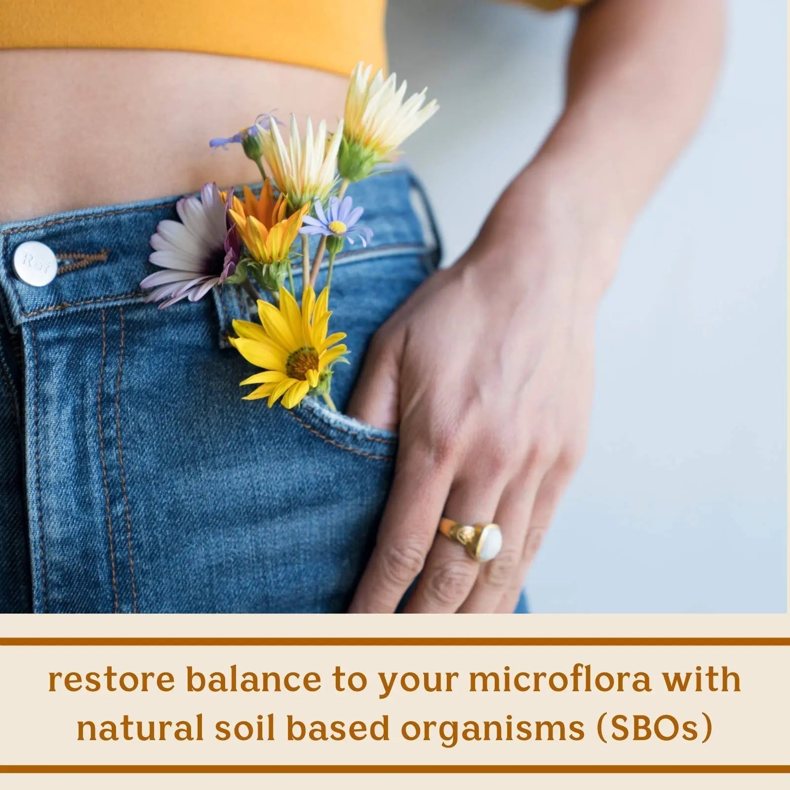 Feel Good SBO Probiotics — Soil Based Organisms (SBOs), Prebiotics, Postbiotics, Humic Acid, Shilajit, Chaga & Turkey Tail Mushroom for Digestion — Solluna by Kimberly Snyder (60CT) Vegan & Non-GMO - Maple Wellness Supplements