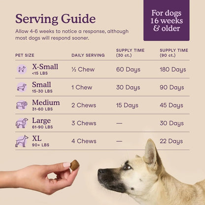 Fera Pets Dog Calming Chews - Helps Manage Everyday Stress & Separation - Promotes Relaxation - Ashwagandha & Priome® Mental Wellbeing Postbiotic Blend - 30 Soft Chews - Maple Wellness Supplements