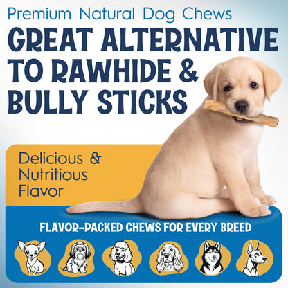 FETCHERONI 12" Collagen Sticks for Dogs – Low Odor Long-Lasting Bully Stick & Rawhide Alternative, Single Ingredient Beef Bone, High Protein Dental Treat, Vet Approved, Improves Joint Health – 5 Pack - Maple Wellness Supplements