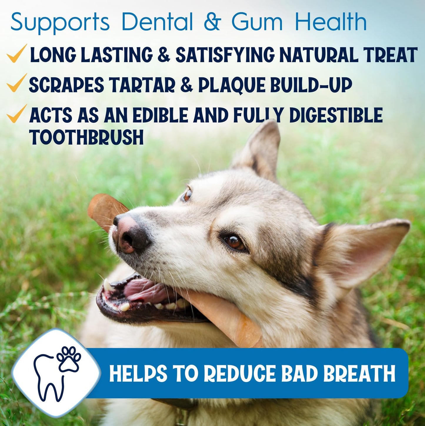 FETCHERONI 6" Collagen Sticks for Dogs – Low Odor Long-Lasting Bully Stick & Rawhide Alternative, Single Ingredient Beef Bone, High Protein Dental Treat, Vet Approved, Improves Joint Health – 20 Pack - Maple Wellness Supplements