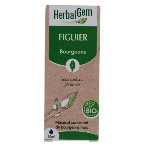 Figuier BIO Macérat mère bourgeons Flacon 30 ml HERBALGEM - Maple Wellness Supplements