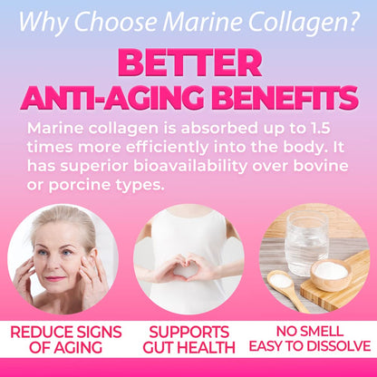 FINE JAPAN Premium Marine Collagen Powder with Hyaluronic Acid, CoQ10 & Elastin - Non-GMO - 30 Servings (210g / 7.4oz) Made in Japan - Maple Wellness Supplements