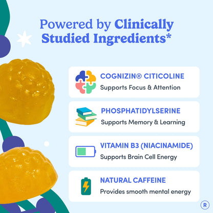 FIRST DAY Men’s Daily Nootropic Brain Supplement Gummies for Focus, Memory & Mental Energy | with Cognizin® Citicoline, Phosphatidylserine & Natural Caffeine | Vegan, Allergen-Free | 30-Day Supply - Maple Wellness Supplements