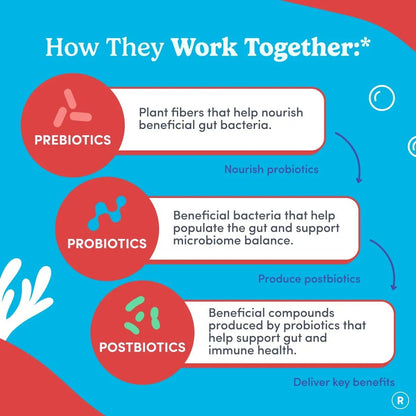 FIRST DAY Teens’ Gut Sustainer Tribiotic Gummies – 3-in-1 Prebiotic, Probiotic & Postbiotic Supplement – Supports Digestive, Skin, Oral & Immune Health, Nutrient Absorption & Growth – 30-Day Supply - Maple Wellness Supplements