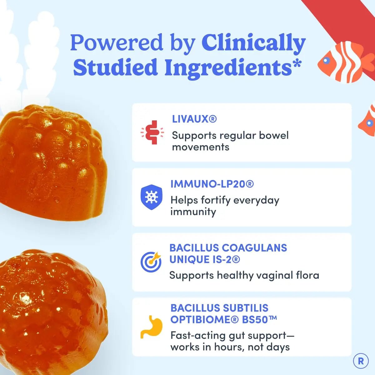 FIRST DAY Womens 3-in-1 Probiotic Gummies – Prebiotic + Probiotic + Postbiotic Supplement – Supports Digestive & Oral Health, Immune Function & Energy Levels – 30-Day Supply - Maple Wellness Supplements