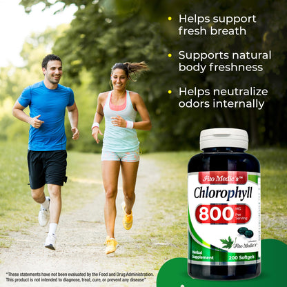 FITO MEDIC'S Lab Chlorophyll Supplement, 200 Softgels, Chlorophyll Capsules - Maple Wellness Supplements
