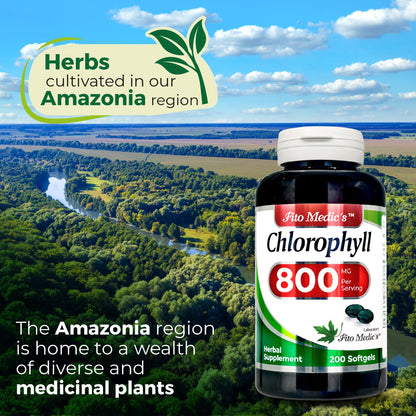 FITO MEDIC'S Lab Chlorophyll Supplement, 200 Softgels, Chlorophyll Capsules - Maple Wellness Supplements