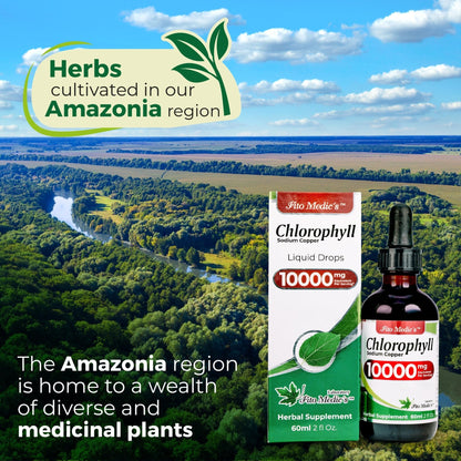 FITO MEDIC'S Lab | Liquid Chlorophyll | Chlorophyll Liquid Drops | 50 mg 200:1 Ratio Extract per Serving. - Maple Wellness Supplements