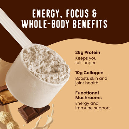 FlavCity Grass Fed Whey Chocolate Protein Powder - Chocolate Peanut Butter - 25g Protein & 10g Collagen - Made with Organic Cocoa & Coconut Milk - Gluten Free & No Added Sugars (20 Servings) - Maple Wellness Supplements