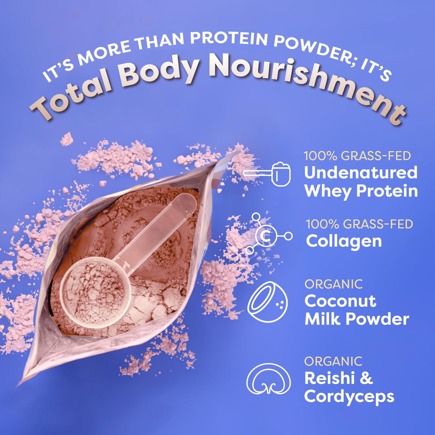 FlavCity Protein Powder Smoothie, Berries & Cream - 100% Grass-Fed Whey Protein - Maple Wellness Supplements