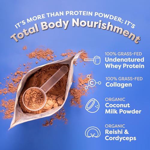 FlavCity Protein Powder Smoothie, Chocolate - 100% Grass-Fed Whey Protein Smoothie - Maple Wellness Supplements
