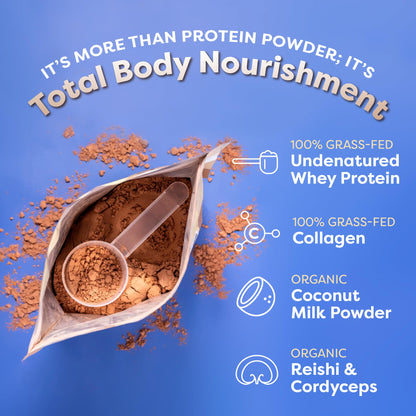 FlavCity Protein Powder Smoothie, Chocolate Peanut Butter - 100% Grass-Fed Whey Pro - Maple Wellness Supplements
