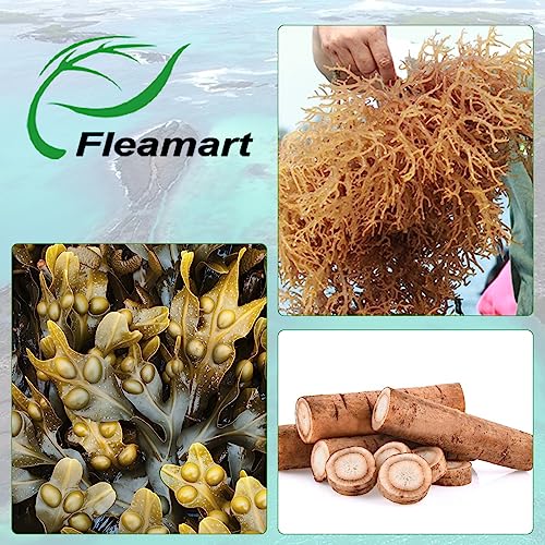 Fleamart 2 Pack Irish Sea Moss Capsules 120ct Raw Organic Sea Moss Wildcrafted Bladder - Maple Wellness Supplements