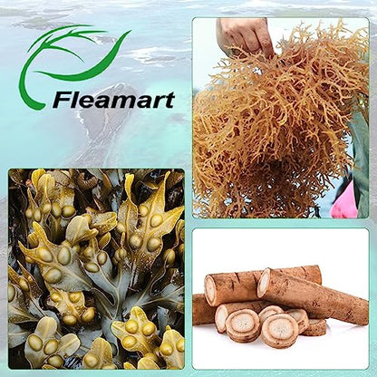 Fleamart 2 Pack Irish Sea Moss Capsules 120ct Raw Organic Sea Moss Wildcrafted Bladder - Maple Wellness Supplements
