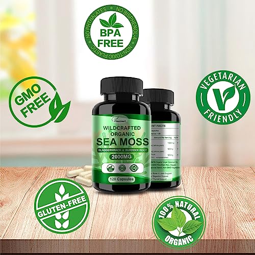 Fleamart 2 Pack Irish Sea Moss Capsules 120ct Raw Organic Sea Moss Wildcrafted Bladder - Maple Wellness Supplements