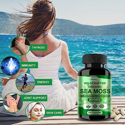 Fleamart 2 Pack Irish Sea Moss Capsules 120ct Raw Organic Sea Moss Wildcrafted Bladder - Maple Wellness Supplements