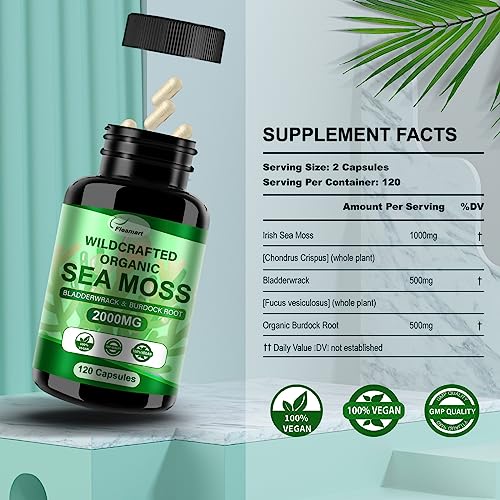 Fleamart 2 Pack Irish Sea Moss Capsules 120ct Raw Organic Sea Moss Wildcrafted Bladder - Maple Wellness Supplements