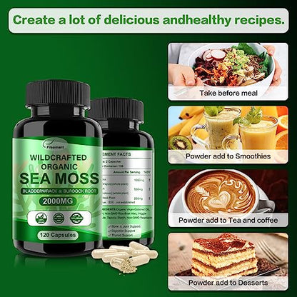 Fleamart 2 Pack Irish Sea Moss Capsules 120ct Raw Organic Sea Moss Wildcrafted Bladder - Maple Wellness Supplements