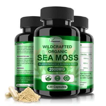 Fleamart Irish Sea Moss Capsules 120ct Raw Organic Sea Moss Wildcrafted Bladderwrack - Maple Wellness Supplements