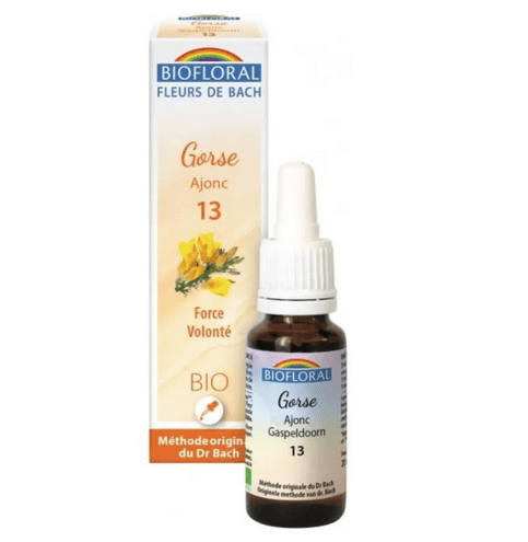 Fleur de Bach BIO Gorse (Ajonc) Flacon 20 ml BIOFLORAL - Maple Wellness Supplements