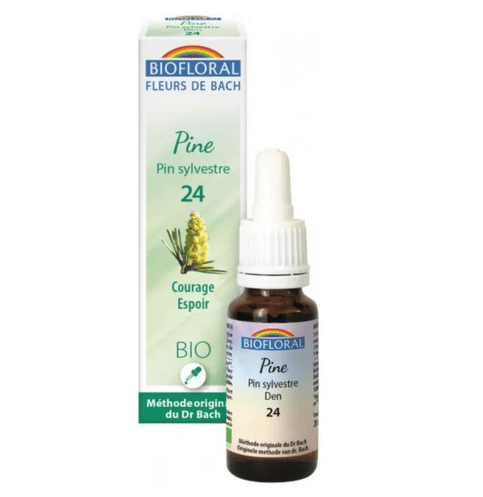 Fleur de Bach BIO Pine (Pin sylvestre) Flacon 20 ml BIOFLORAL - Maple Wellness Supplements