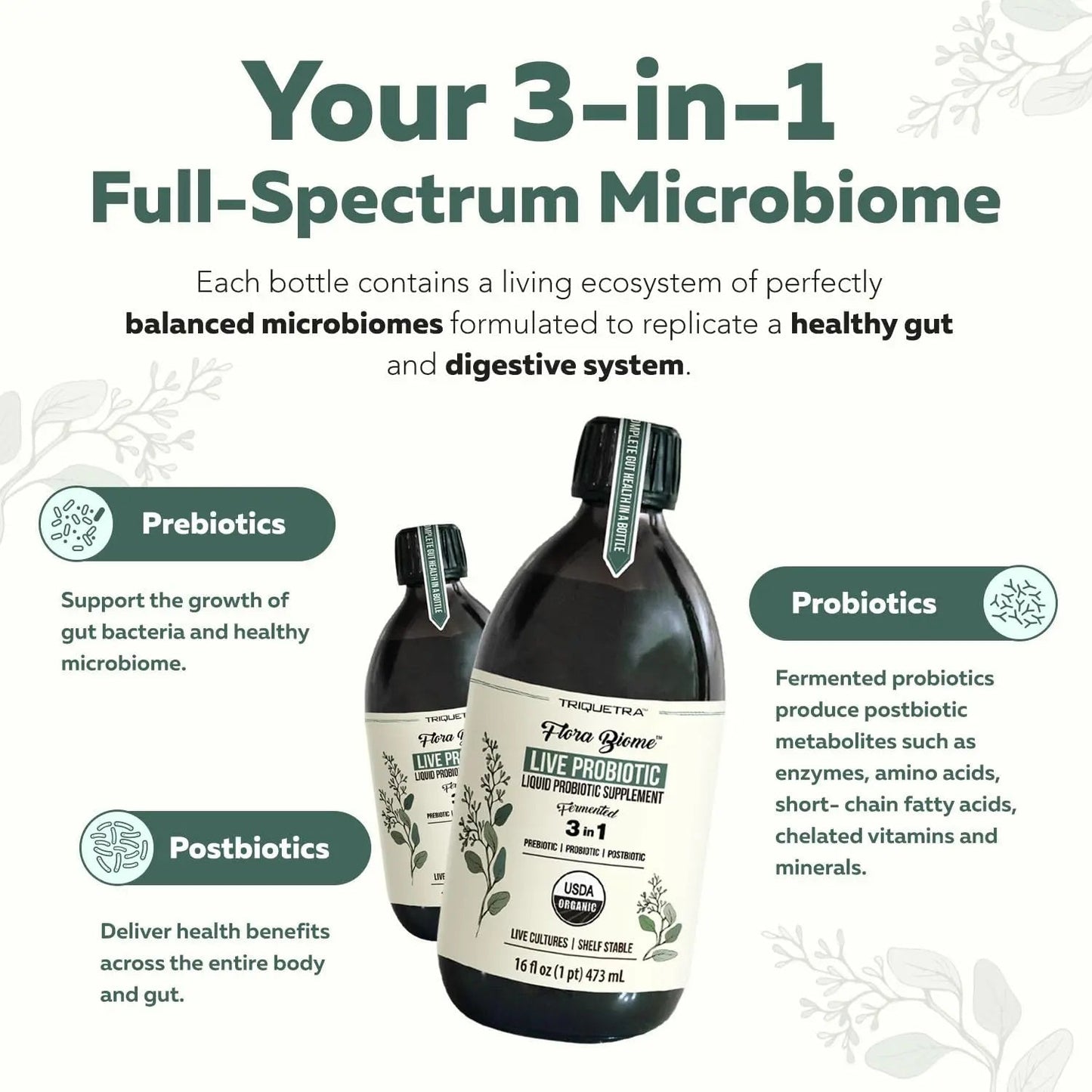Flora Biome - Live Probiotic, Prebiotic, & Postbiotic – Organic Live-Culture – 10 Probiotic Strains, 18 Fermented Herbs - Complete Gut Health & Microbiome Optimizer (16 oz) - Maple Wellness Supplements