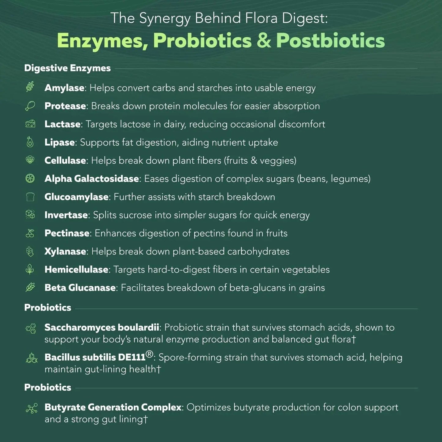 Flora Digest - 3-in-1 Max Strength Digestive Enzymes + Gut Surviving Probiotics & ButyraGen® Postbiotic for Optimal Digestion, Bloating Relief, Regularity, Gut Lining & Colon Support - (30 Capsules) - Maple Wellness Supplements