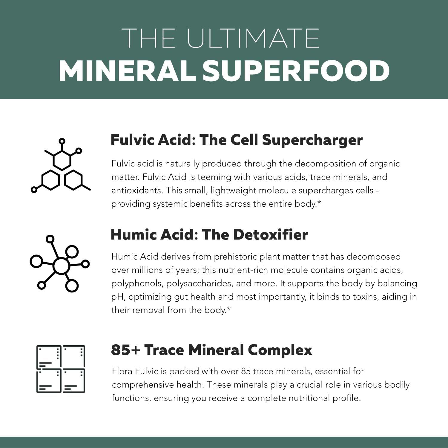 Flora Fulvic | Fulvic Acid + Humic Acid Complex – 550 mg |Mined in Utah, Prehistoric Deep Earth Extract | Immunity, Gut, Digestion – Natural Trace Mineral Complex - Maple Wellness Supplements