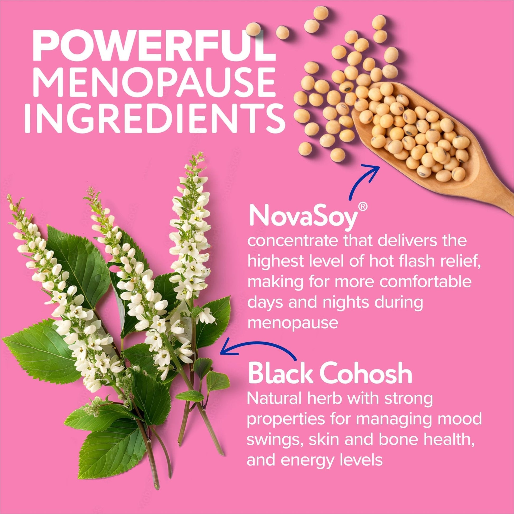 Florajen Triple-Action Menopause Probiotic - Hormonal Balance, Hot Flash, & Mood Swing Relief - Weight Management & Digestive Support - Featuring Berberine, Black Cohosh, & Botanical - 30 Capsules - Maple Wellness Supplements