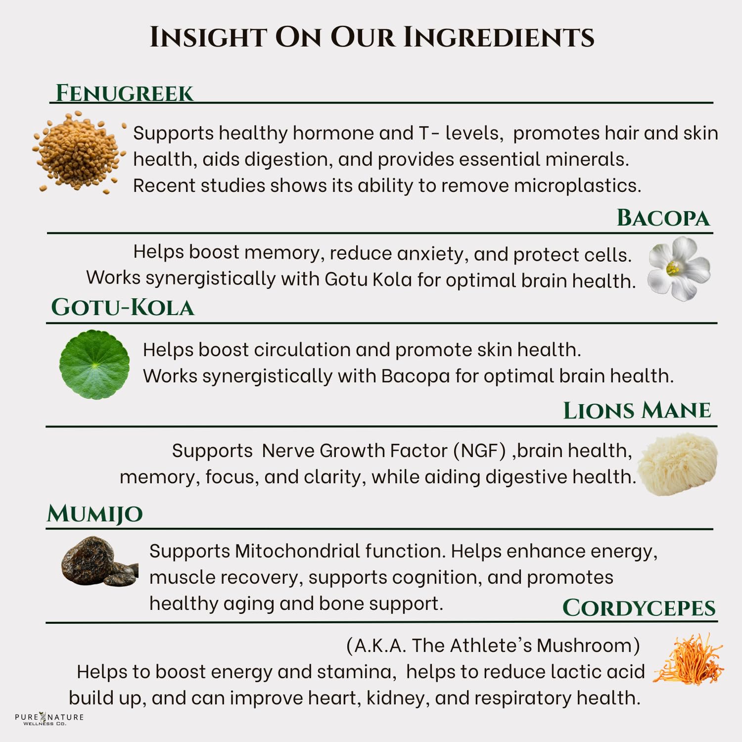 Focus + Energy + Performance Support-6-in-1 Mushroom Nootropic & Mitochondrial Complex-Advanced Brain Supplement-Natural Energy-Caffeine Free Biohack with Lion’s Mane,Cordyceps,Mumijo,Fenugreek - Maple Wellness Supplements
