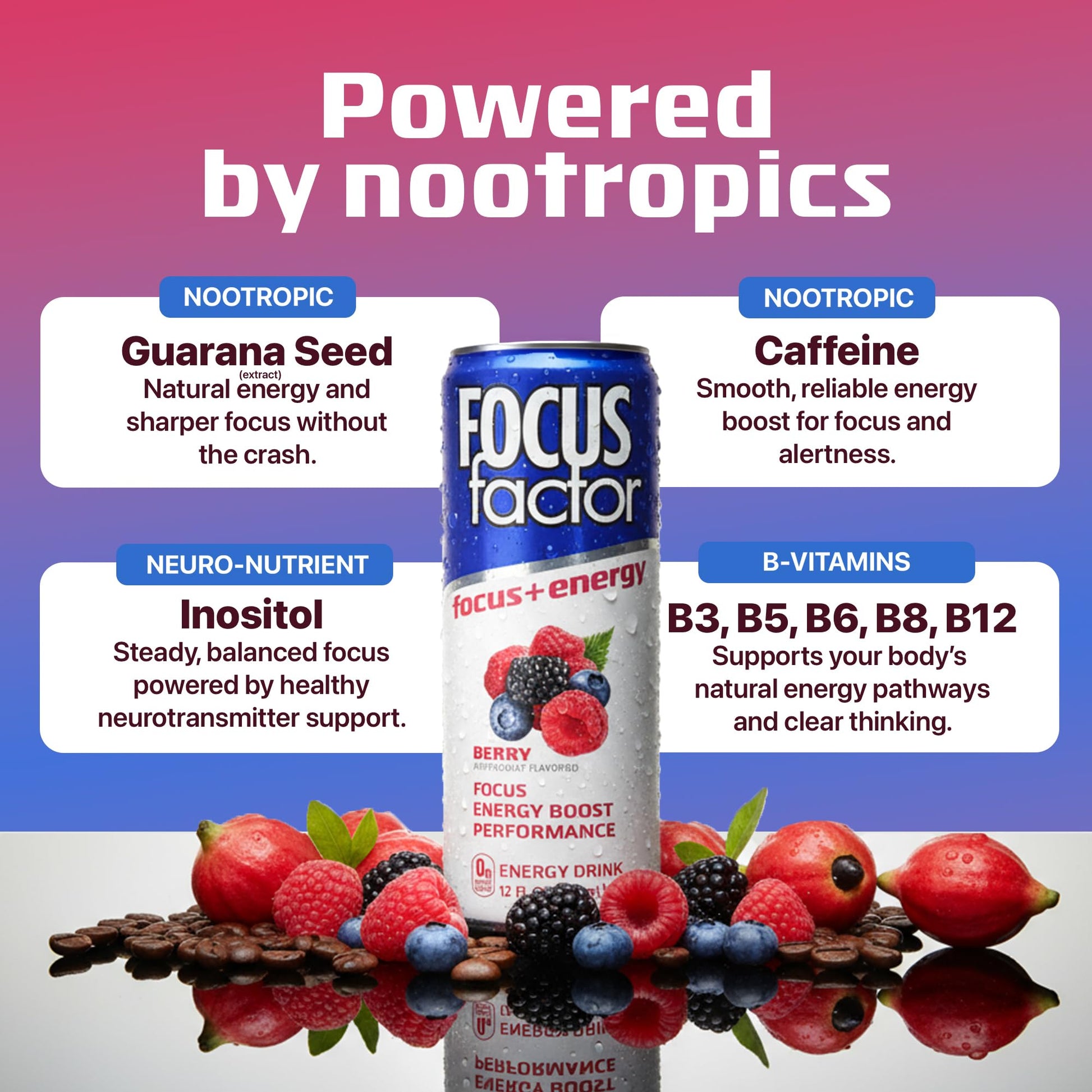 Focus Factor Energy Drink - 12 x 355ml Cans (Berry Flavour) - with Focus + Energy - Lightly Carbonated, Sugar Free, Low Calorie with Vitamin B6 & Vitamin B12 - Maple Wellness Supplements