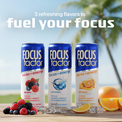 Focus Factor Energy Drink - 12 x 355ml Cans (Berry Flavour) - with Focus + Energy - Lightly Carbonated, Sugar Free, Low Calorie with Vitamin B6 & Vitamin B12 - Maple Wellness Supplements