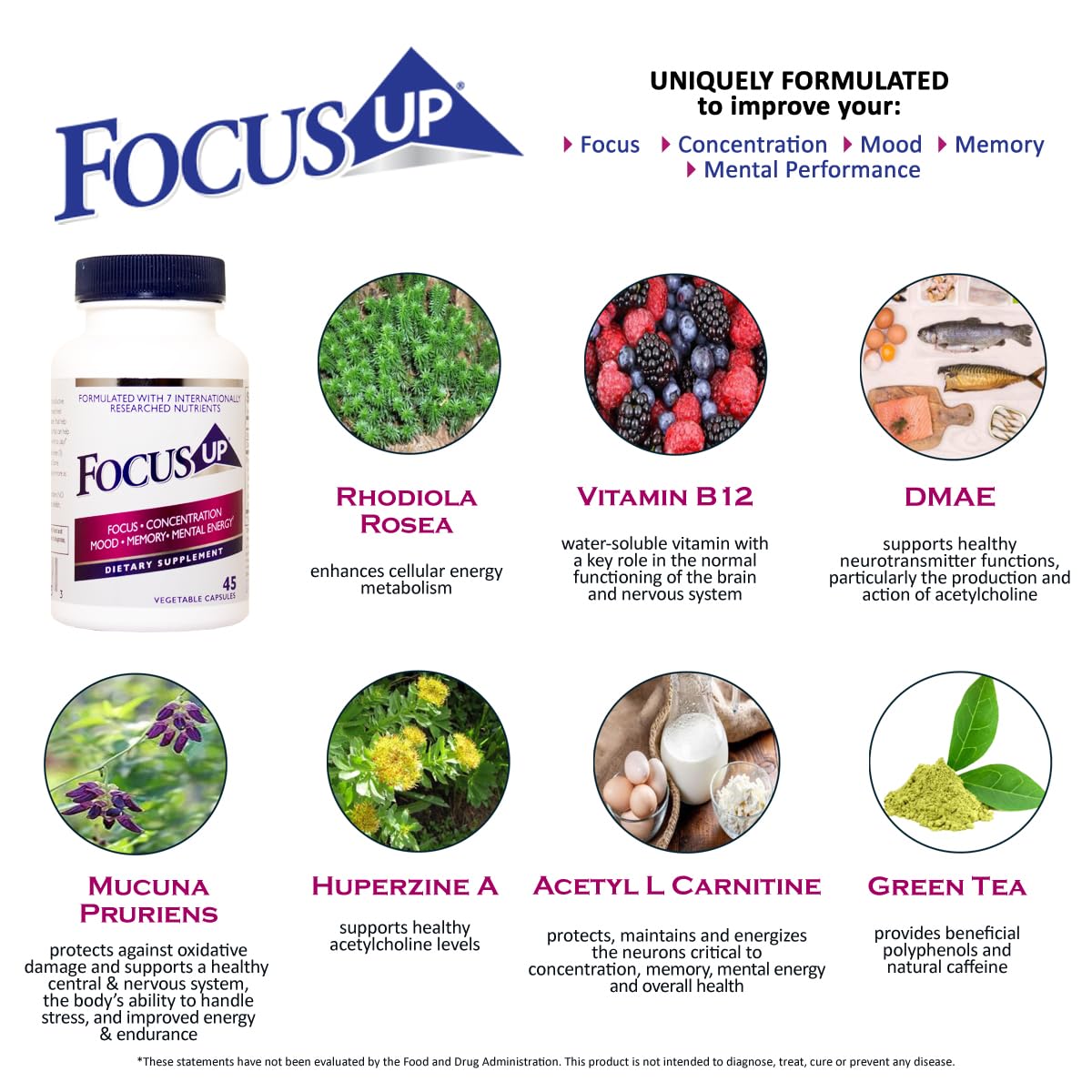 FocusUP Brain & Energy Support Supplement – Natural Nootropic Capsules with Acetyl L-Carnitine, Rhodiola, DMAE & Huperzine-A | Supports Focus, Memory, Mood & Mental Clarity | 45 Sugar-Free Capsules - Maple Wellness Supplements