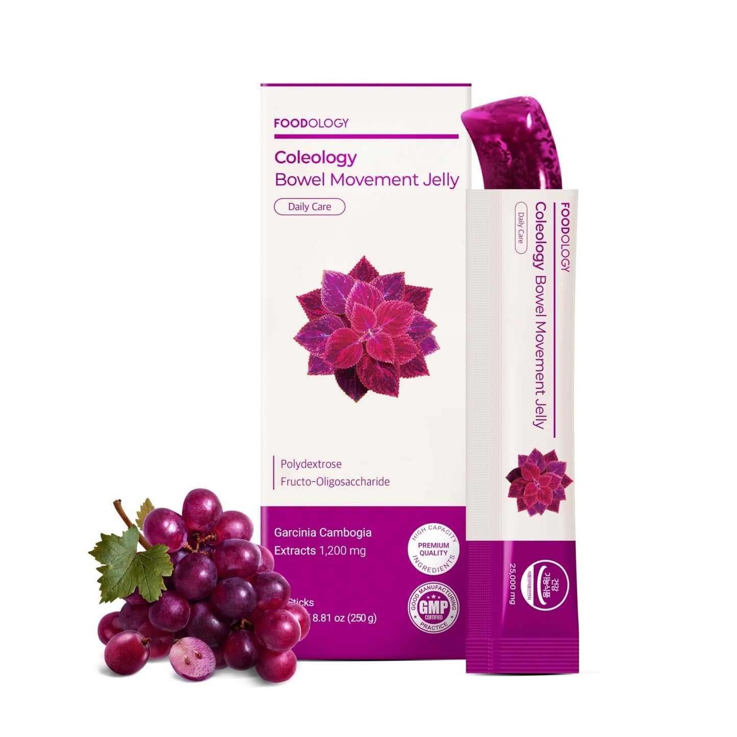 FOODOLOGY Coleology Bowel Movement Jelly (Grape & Prune) – Prebiotic Fiber Supplement for Gut Health & Daily Regularity, Chia Seeds, Korean Supplement – 10 Sticks - Maple Wellness Supplements