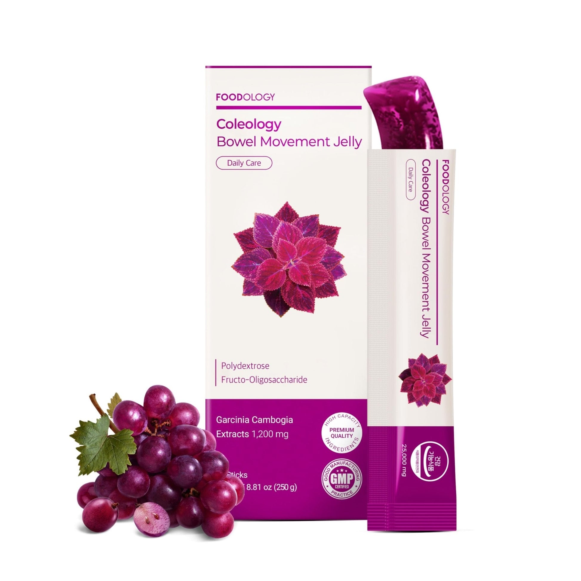 FOODOLOGY Coleology Bowel Movement Jelly (Grape & Prune) – Prebiotic Fiber Supplement for Gut Health & Daily Regularity, Chia Seeds, Korean Supplement – 10 Sticks - Maple Wellness Supplements