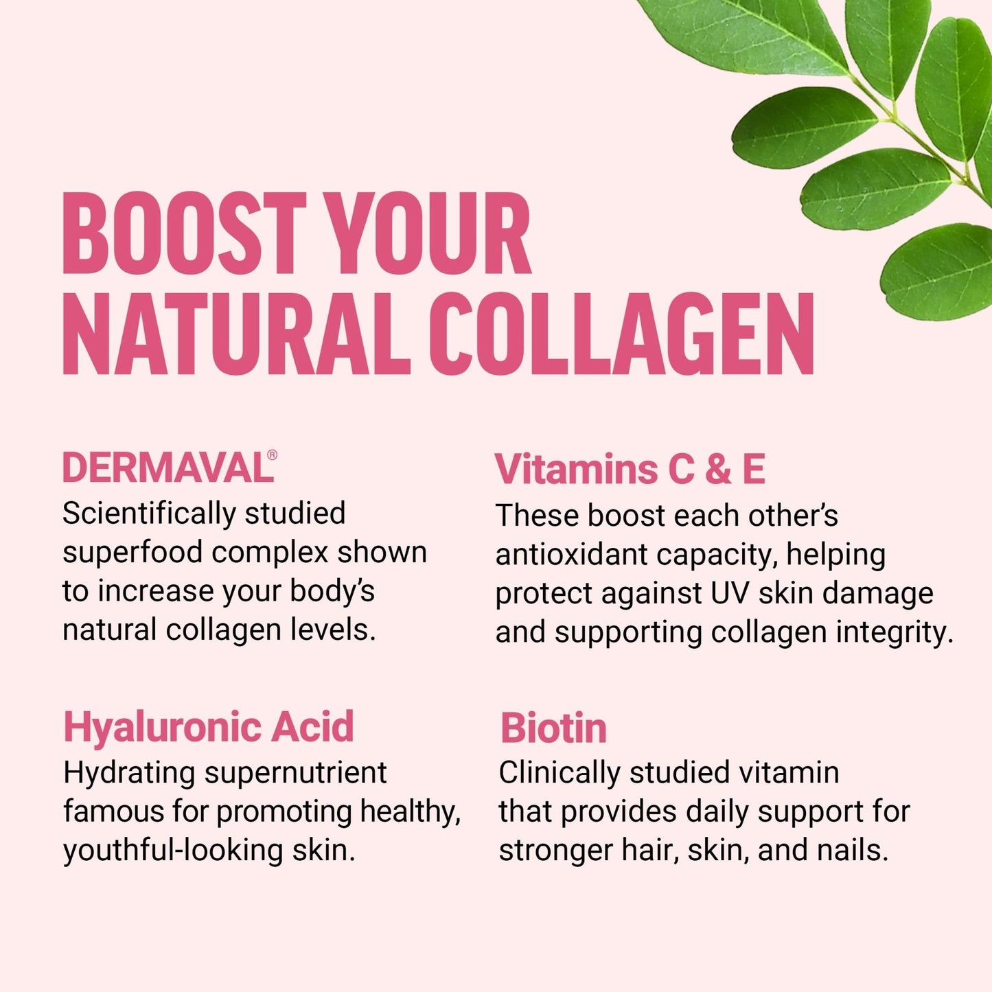 Force Factor Collagen Boosting Superfoods, Vegan Collagen Booster for Women, with Biotin, Hyaluronic Acid, and Vitamin C, for Hair, Skin, Nails, & Joint Support - Maple Wellness Supplements