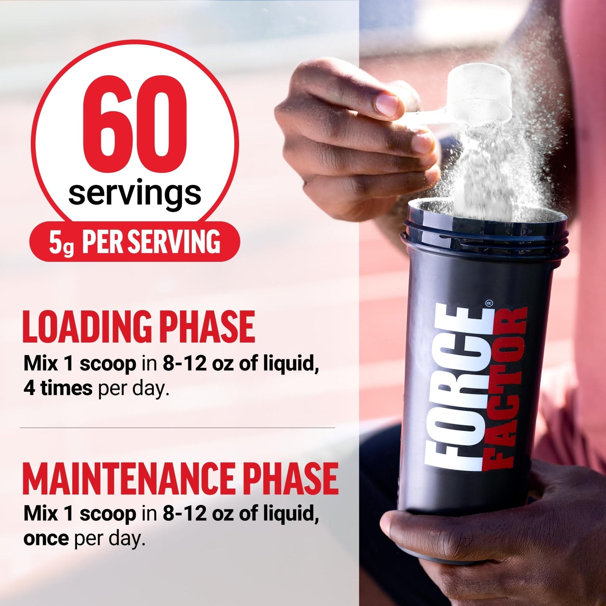 Force Factor Creatine Monohydrate Powder, 5g Micronized Dose to Support Muscle Growth, Strength, Recovery, Cognitive Health & Memory - Maple Wellness Supplements