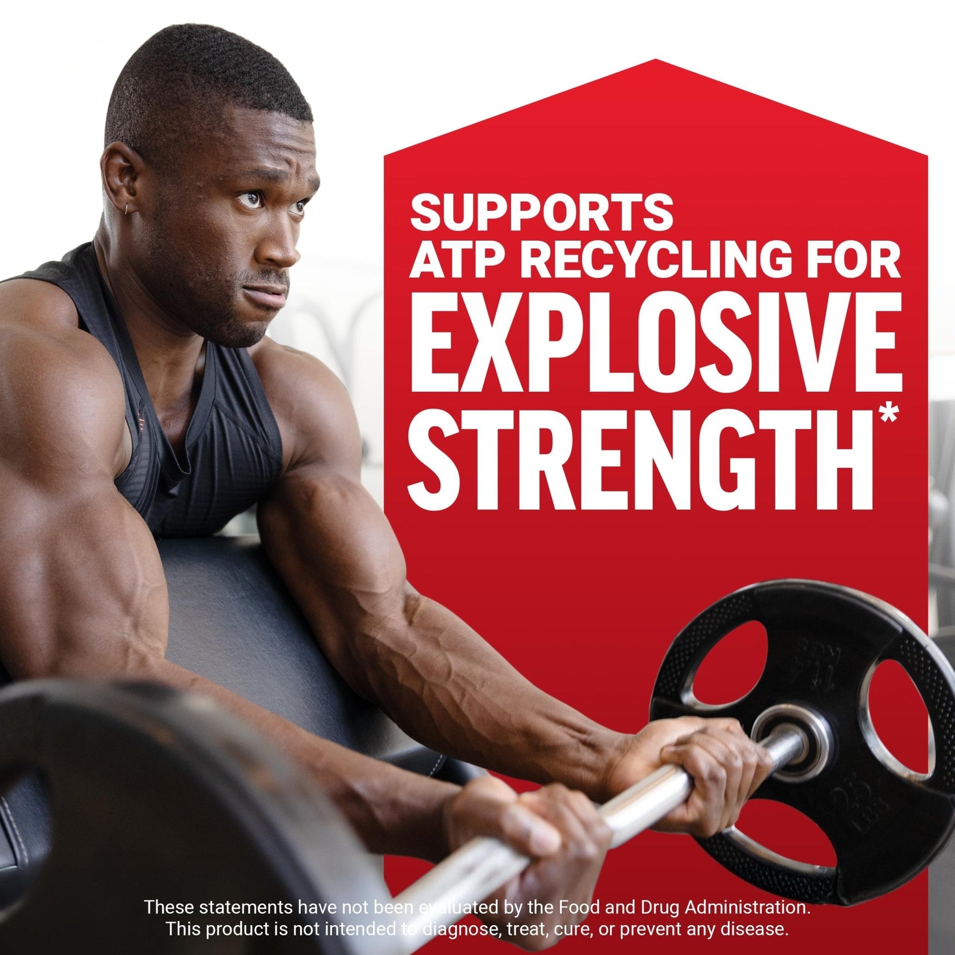 Force Factor Creatine Monohydrate Powder, 5g Micronized Dose to Support Muscle Growth, Strength, Recovery, Cognitive Health & Memory - Maple Wellness Supplements