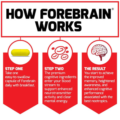 Force Factor Forebrain Nootropic Brain Supplement to Improve Memory, Boost Focus, Increase Mental Energy, and Support Brain Health with Caffeine, Bacopa, and Huperzine A, 30 Capsules - Maple Wellness Supplements